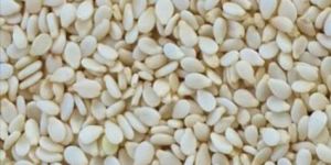 White Sesame Seeds