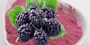 Spray Dried Mulberry Powder