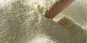 Spray Dried Whey Powder