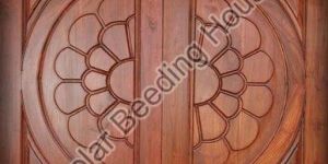 Teak Wood Double Door
