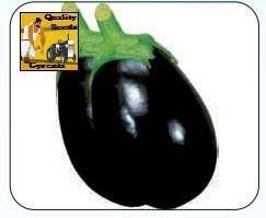 F1 Kalika Brinjal Seeds