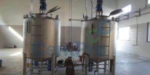 Tomato Ketchup Plant