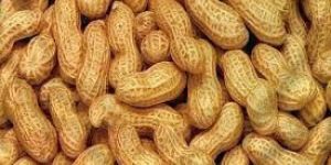 Shelled Groundnuts