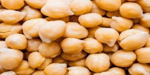 Whole Chickpeas