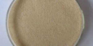 Alkaline Protease Powder