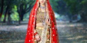 Bridal Lehenga Choli