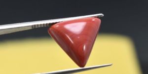 Red Coral Gemstone