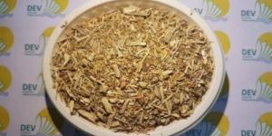 Dashmool Kwath Churna