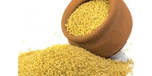 Foxtail Millets