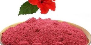 Hibiscus Powder
