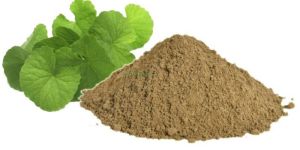 Natural Brahmi Powder
