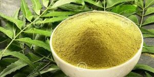 Neem Leaves Powder