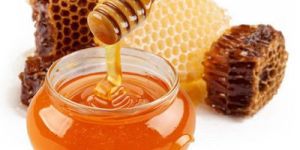 Raw Wild Forest Honey