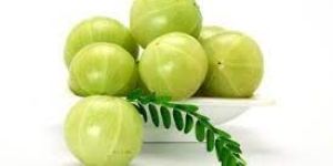 Fresh Amla