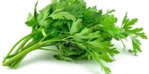 Fresh Parsley