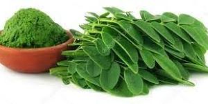 Moringa Leaf Powder