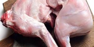 RABBIT MEAT