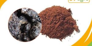 Shilajit Powder