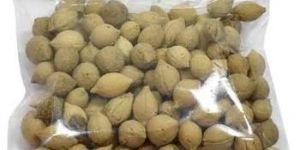 Pota Putrajeevak Beej