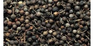 Sheetal Chini Piper Cubeba