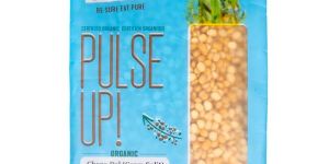 Organic Shastra Chana Dal