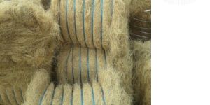 Coir Fibre