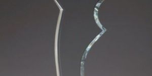 Acrylic Star Trophy