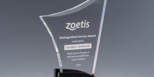 Acrylic Transparent Trophy