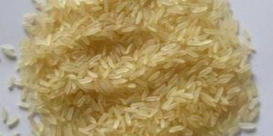 Sharbati Golden Rice