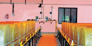 Chlorine Gas Manifold