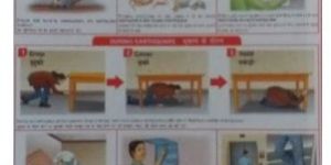 Disaster Management Charts