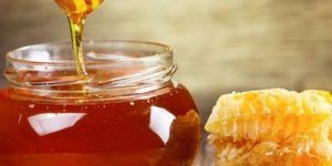 Organic Honey