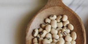 Black-Eyed Pea