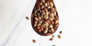 Horse Gram