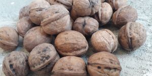 Walnuts