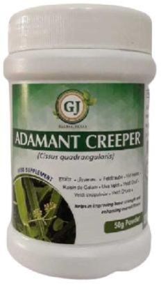 Adament Creeper Herbal Powder