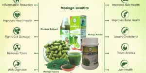 Moringa Leaf Powder