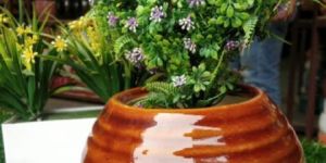 Indoor Ceramic Flower Pot