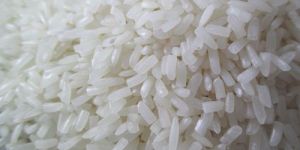 100% Broken Non Basmati Rice
