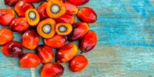 Palm Oil