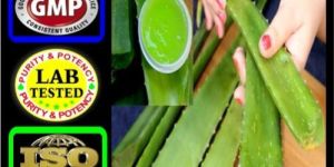 Aloe Vera Extract