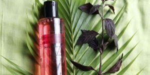 Handmade Juicy Strawberry Body Wash