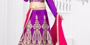Lehenga Saree