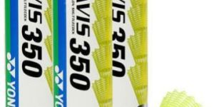 Badminton Shuttles