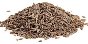 Cumin Seed