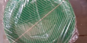 Buffet Paper Plates Green