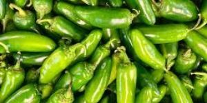 Green Chilli
