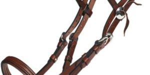 Horse Leather Bridle