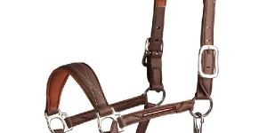 Horse Leather Halter