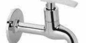 Sparrow Long Body Cock